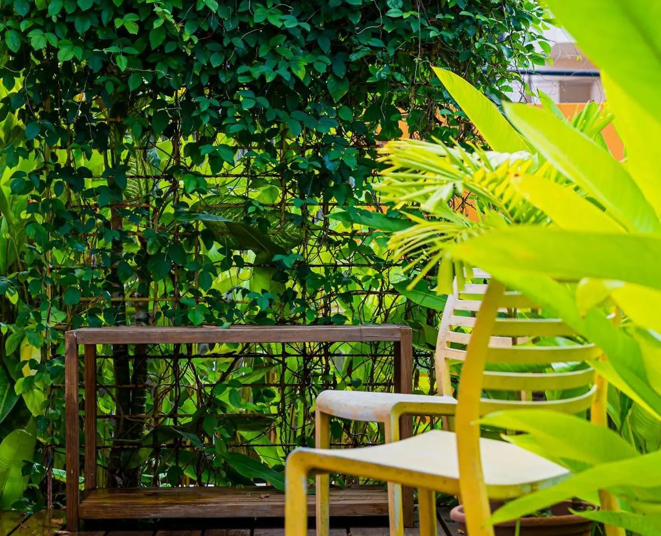 Zajazd Casa De Amistad Guesthouse Vieques