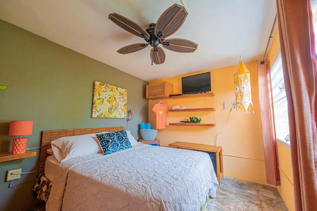 Casa De Amistad Guesthouse Vieques Puerto Rico