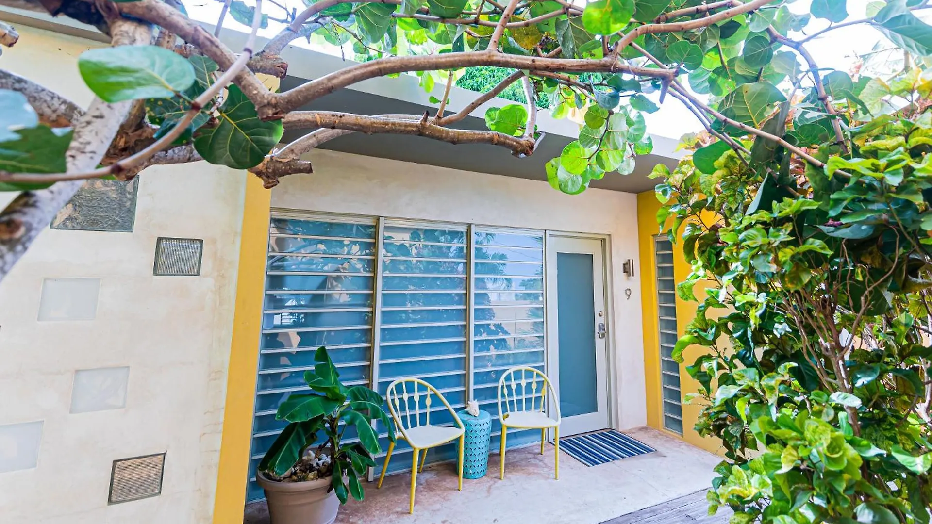 Casa De Amistad Guesthouse Vieques Puerto Rico